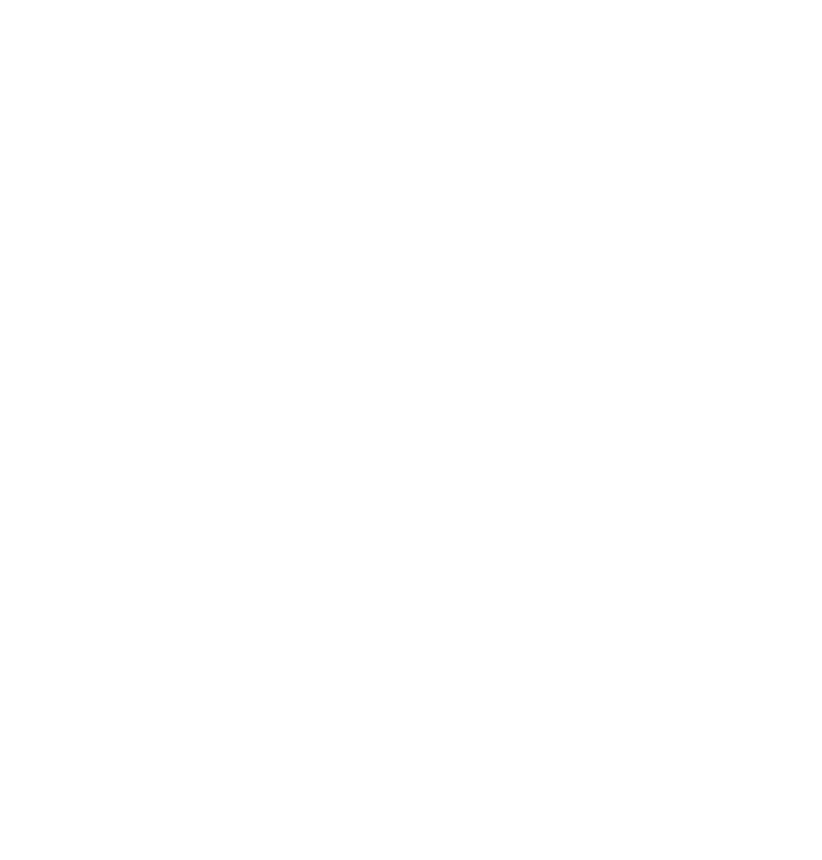 Logo SYNARA